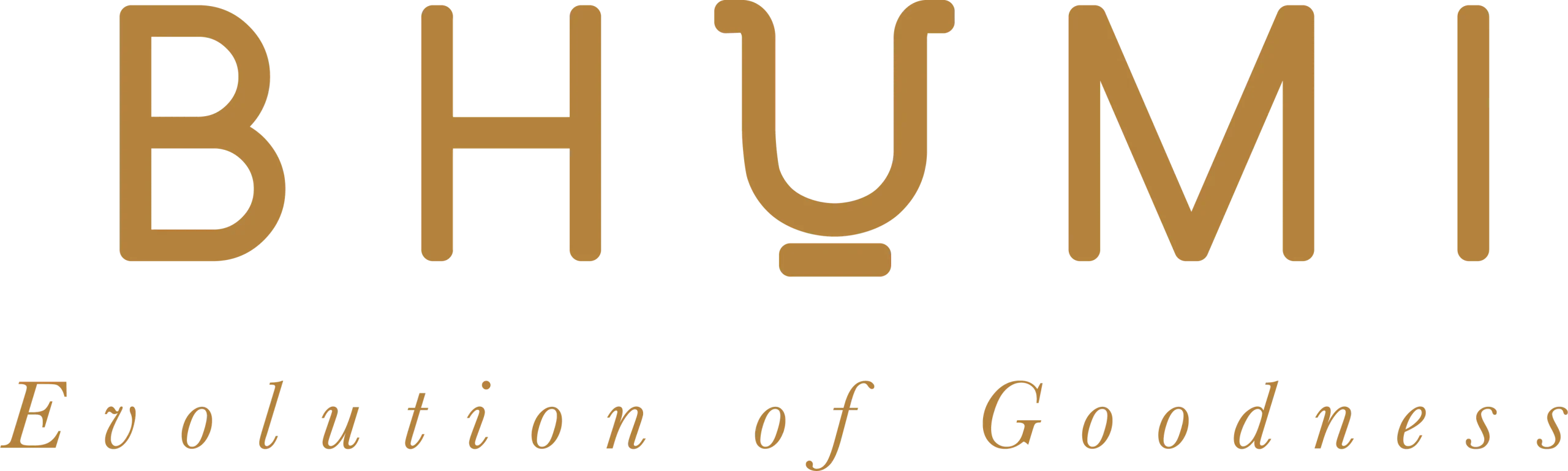 bhumi-logo